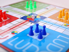 Ludo
